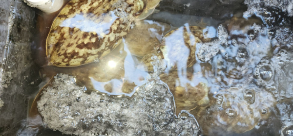 예지퀸호 농어외수질&어초낚시 경기인천권_사진_20251029_11.jpg