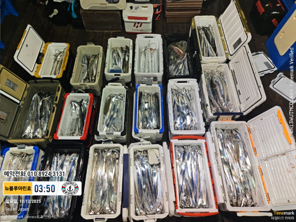 2025-10-12 03.50.01_Japan_(제목-뉴블루마린호)_(예약전화 010 8924 3131).jpg