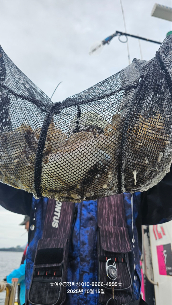 여수금강피싱_사진_20251015_5.jpg