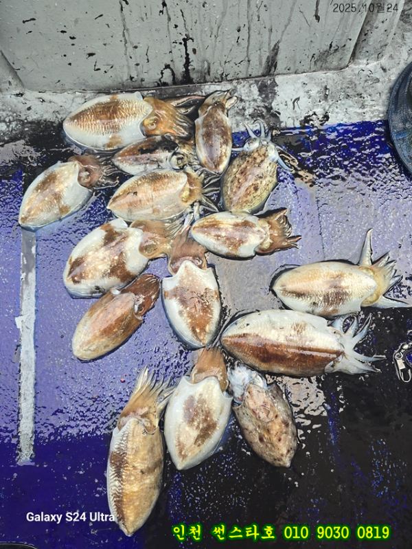 10월24 썬 (17).jpg