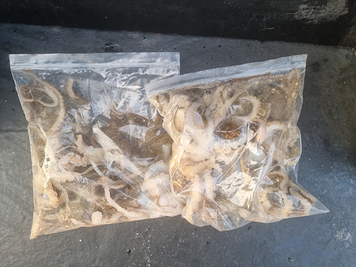 인천쭈꾸미낚시 (17).jpg