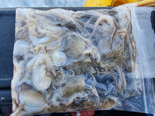 인천쭈꾸미낚시 (10).jpg