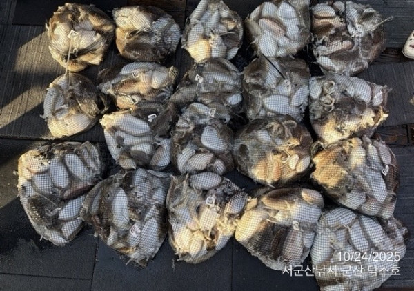 군산 선상낚시, 바다낚시 출조 전문 ☆서군산낚시☆_사진_20251024_3.jpg