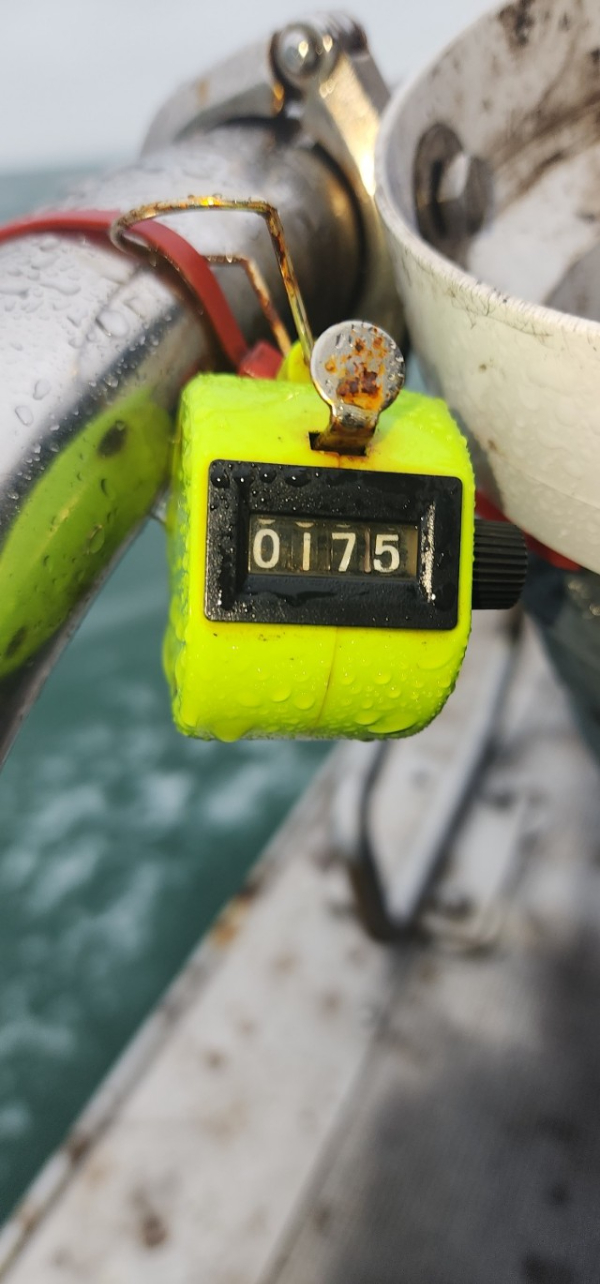 예지퀸호 농어외수질&어초낚시 경기인천권_사진_20251013_5.jpg