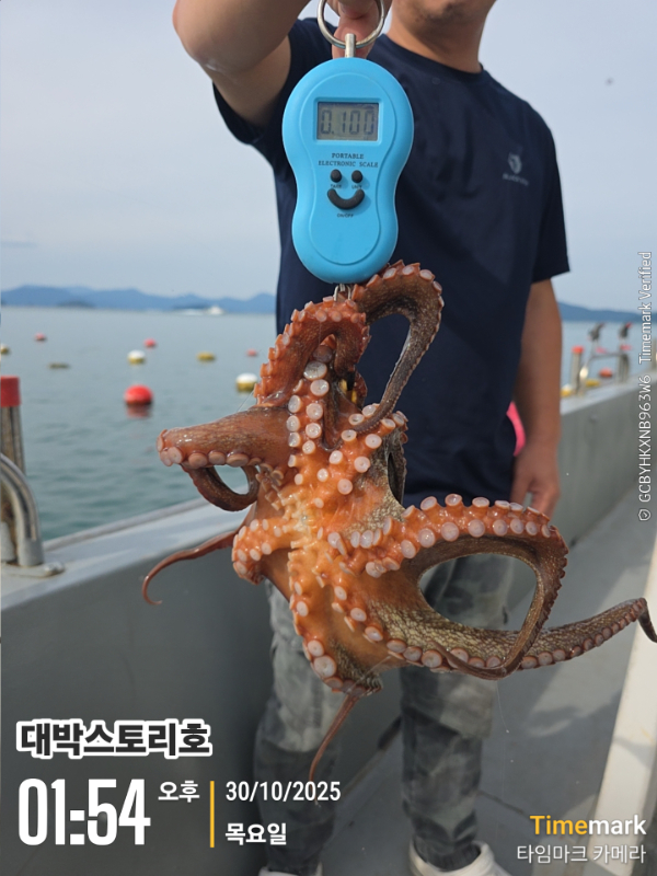 2025-10-30 01.54.50__(대박스토리호).jpg