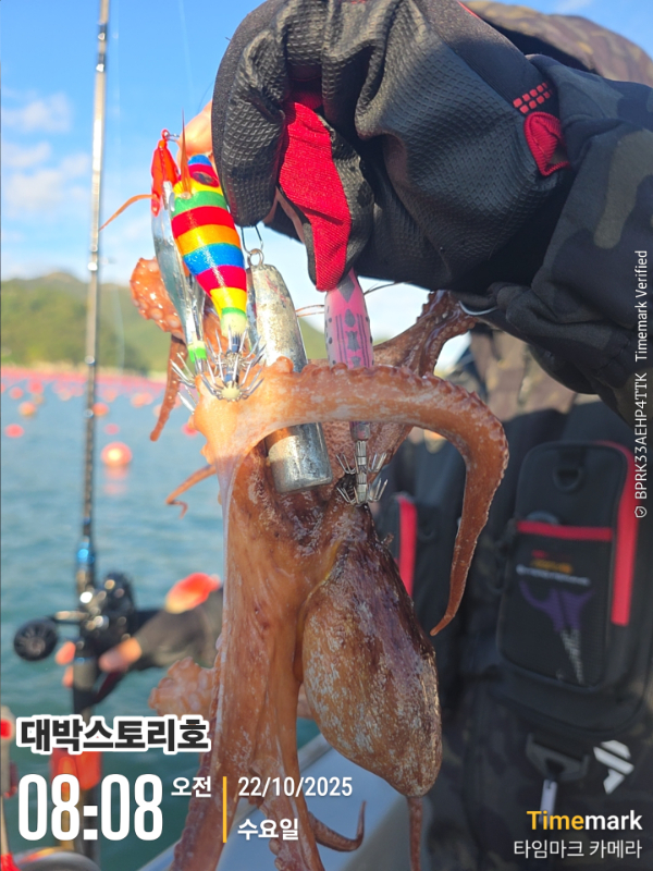 2025-10-22 08.08.21__(대박스토리호).jpg