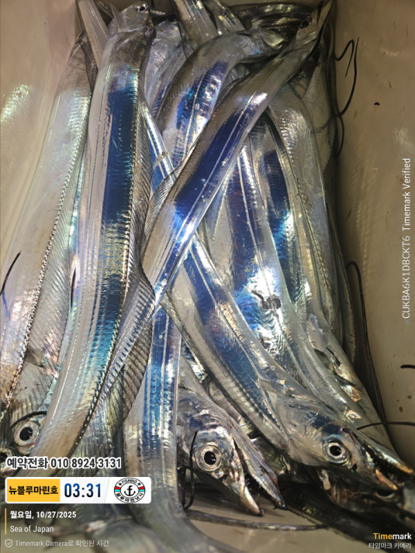 2025-10-27 03.31.22_Japan_(제목-뉴블루마린호)_(예약전화 010 8924 3131).jpg