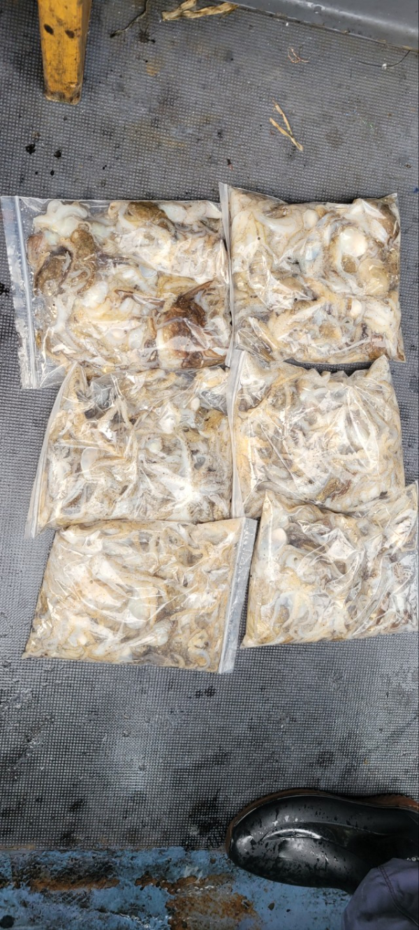 예지퀸호 농어외수질&어초낚시 경기인천권_사진_20251011_12.jpg