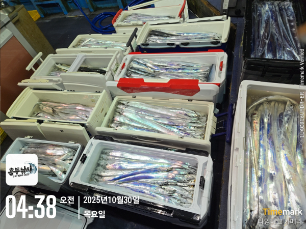 2025-10-30 04.38.18_.jpg