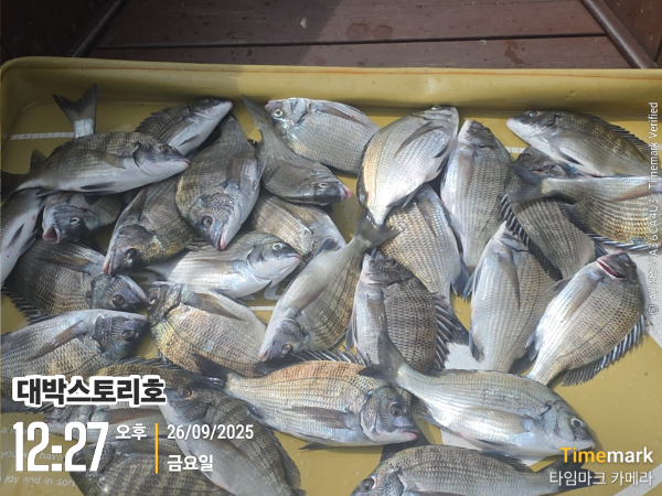 2025-09-26 12.27.44__(대박스토리호).jpg