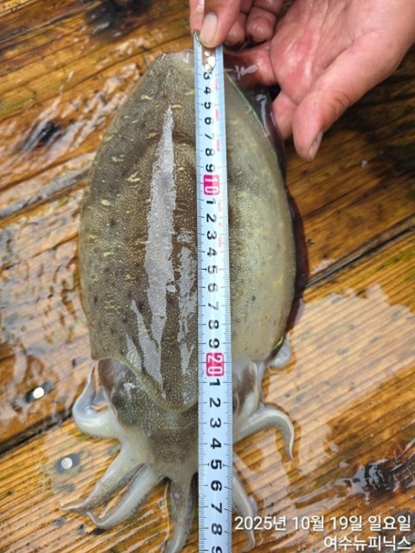 큰10월19일갑이 (10).jpg