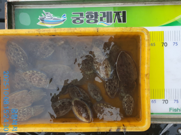 궁항레저_사진_20251008_12.jpg