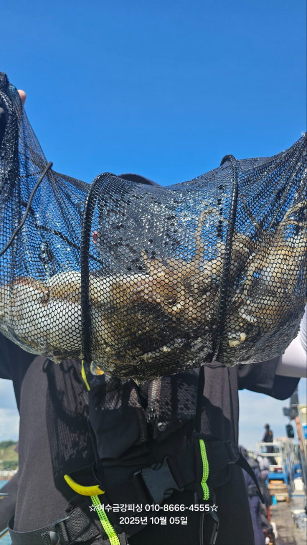 여수금강피싱_사진_20251005_5.jpg