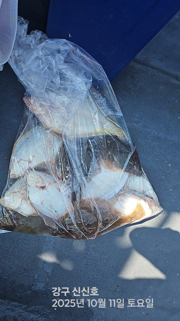 신신낚시 강구점 신신호_사진_20251012_6.jpg
