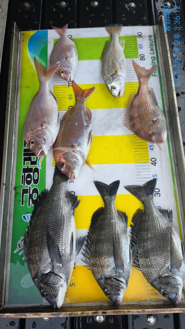 궁항레저_사진_20251006_1.jpg