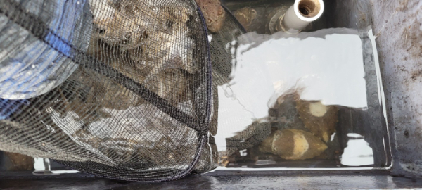 예지퀸호 농어외수질&어초낚시 경기인천권_사진_20251011_15.jpg