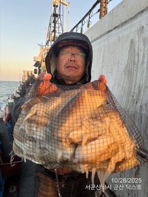 군산 선상낚시, 바다낚시 출조 전문 ☆서군산낚시☆_사진_20251028_2.jpg