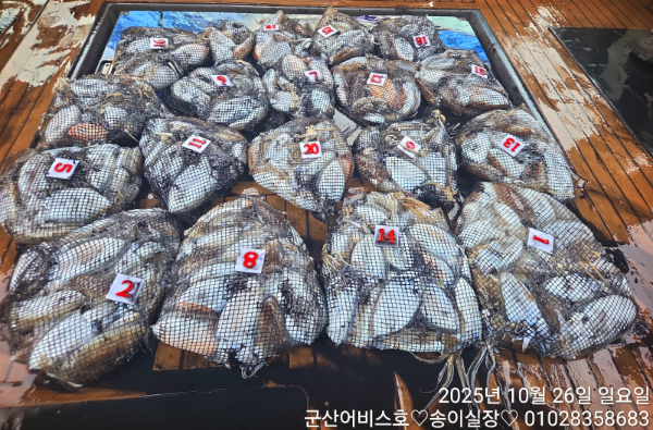 1000017122.jpg