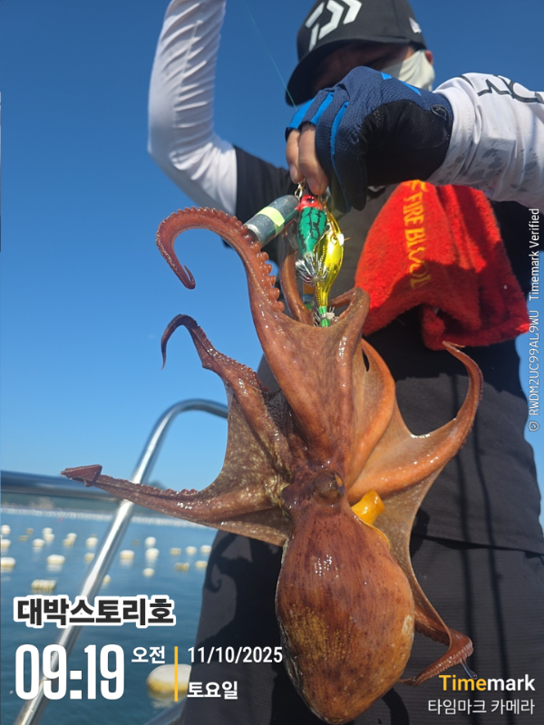 2025-10-11 09.19.51(1)__(대박스토리호).jpg