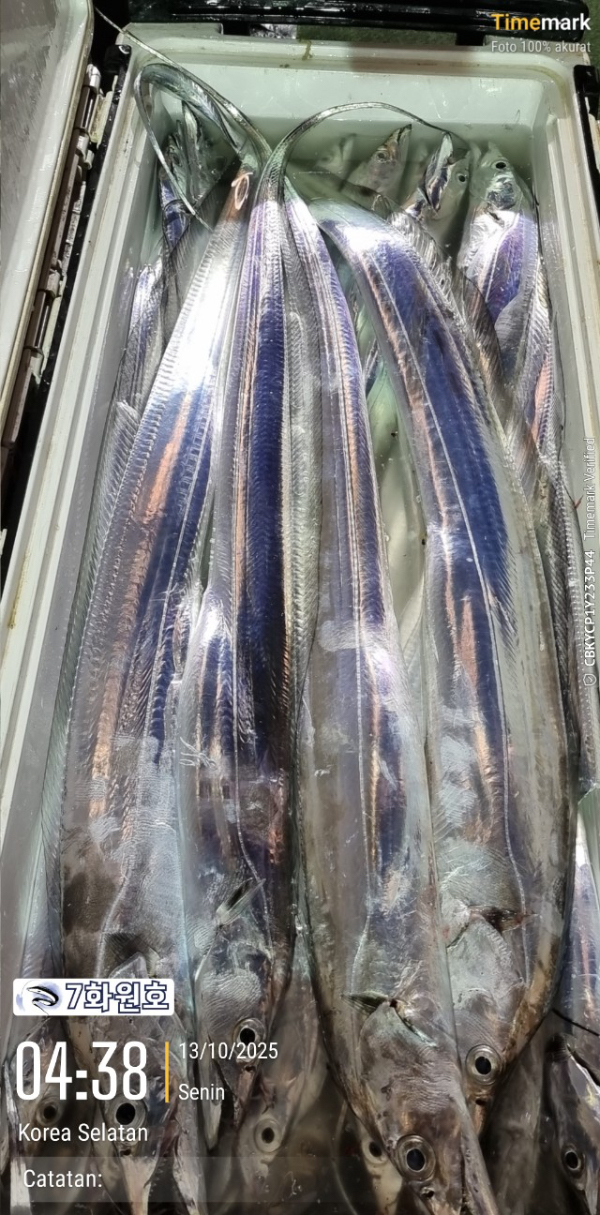 제주갈치낚시 화원호_사진_20251013_8.jpg