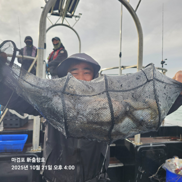 ꫛꫀꪝ✧‧˚ 태안 마검포 新출항호 .• _˚☀₊_사진_20251021_17.jpg