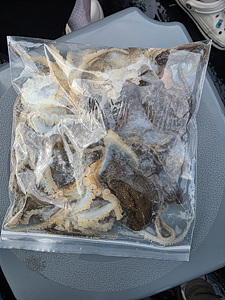 인천쭈꾸미낚시 (39).jpg