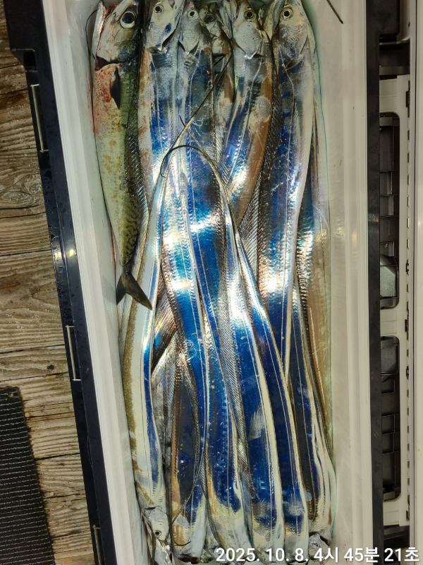5fd2d7e3ffc72c8e26e644bfc7d862f2.jpg