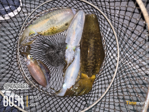 2025-10-22 00.11.22_.jpg