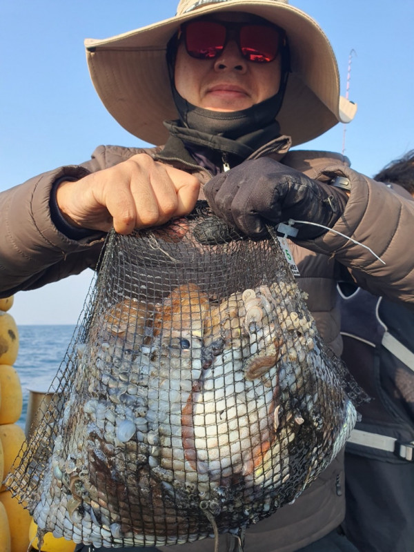 군산 선상낚시, 바다낚시 출조 전문 ☆서군산낚시☆_사진_20251031_2.jpg