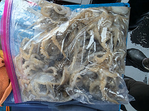 인천쭈꾸미낚시 (28).jpg