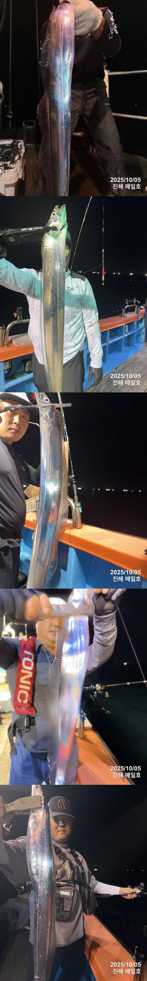 갈치1.jpg