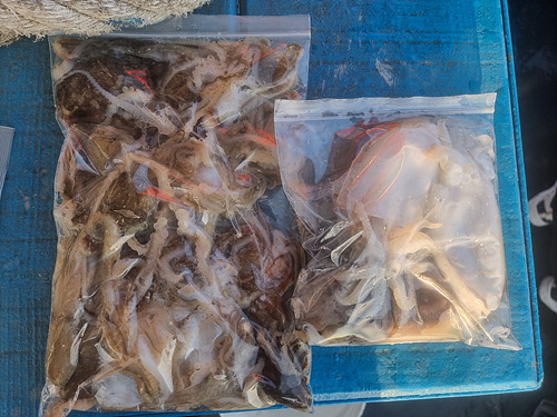 인천쭈꾸미낚시 (25).jpg