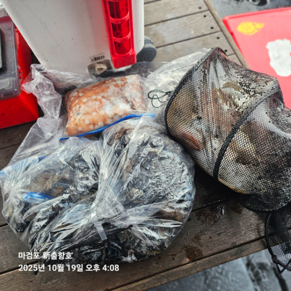 ꫛꫀꪝ✧‧˚ 태안 마검포 新출항호 .• _˚☀₊_사진_20251019_12.jpg