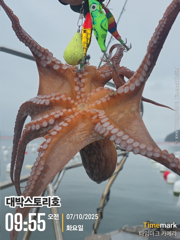 2025-10-07 09.55.49__(대박스토리호).jpg