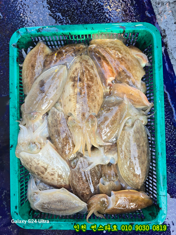 10월23 썬 (10).jpg