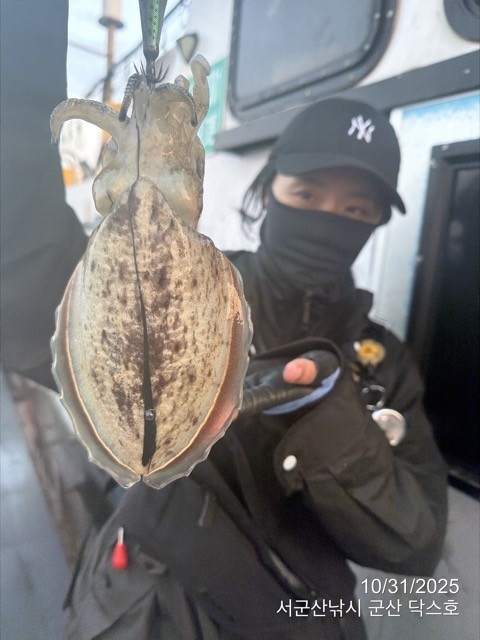 군산 선상낚시, 바다낚시 출조 전문 ☆서군산낚시☆_사진_20251031_15.jpg