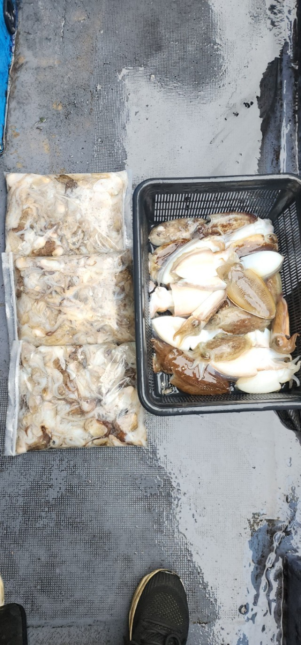 예지퀸호 농어외수질&어초낚시 경기인천권_사진_20251013_11.jpg