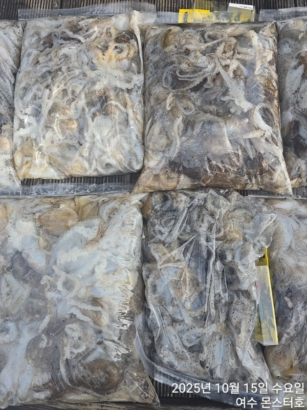 BandPhoto_2025_10_16_17_39_26 (1).jpg