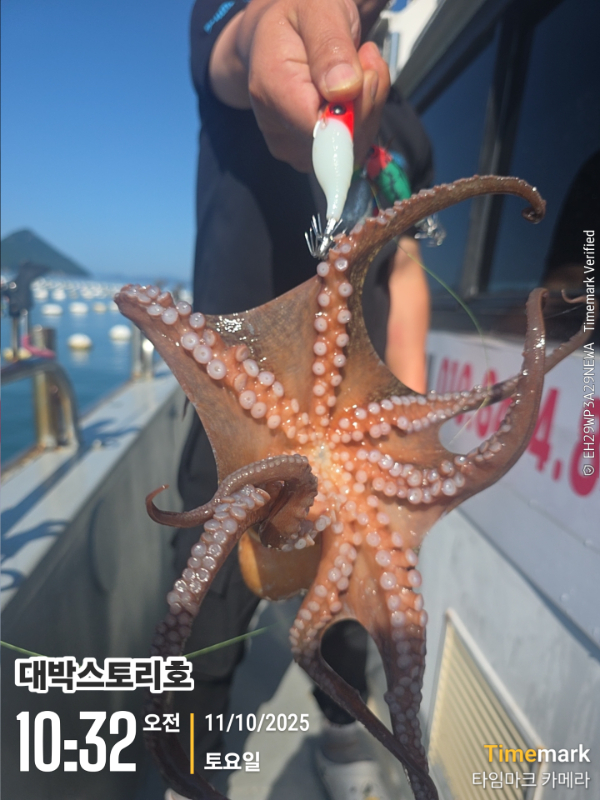 2025-10-11 10.32.22__(대박스토리호).jpg