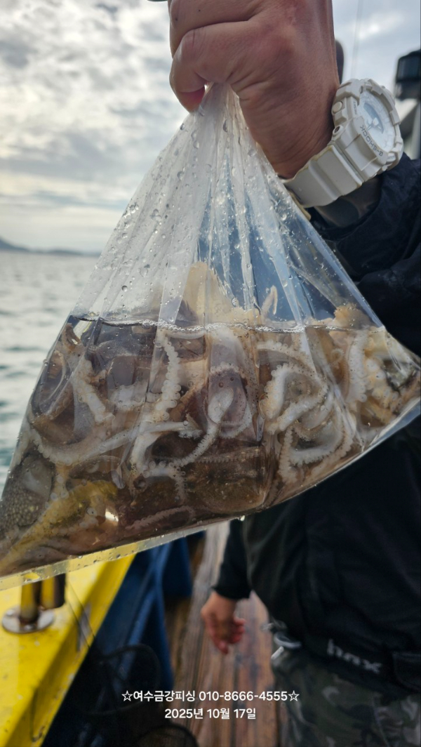 여수금강피싱_사진_20251017_20.jpg