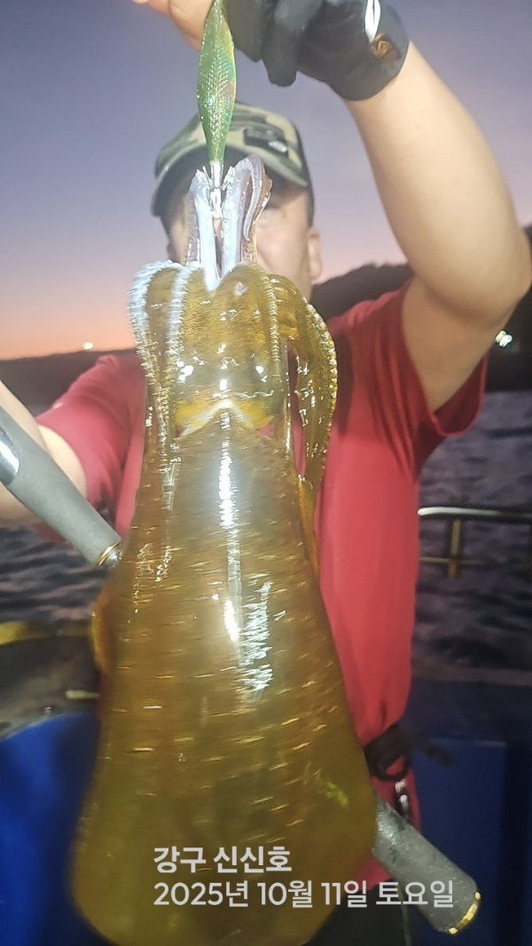 신신낚시 강구점 신신호_사진_20251012_10.jpg