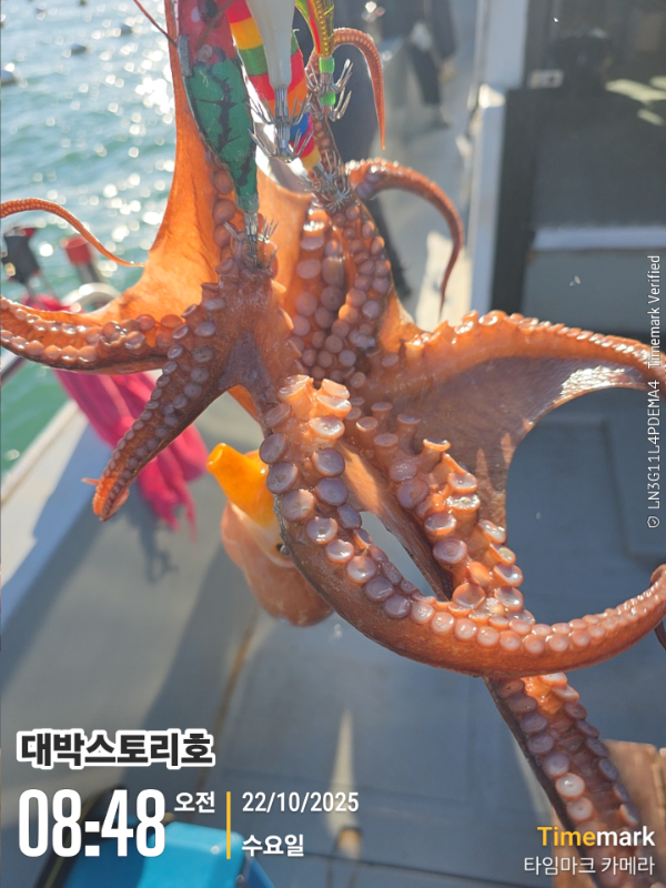 2025-10-22 08.48.24__(대박스토리호).jpg