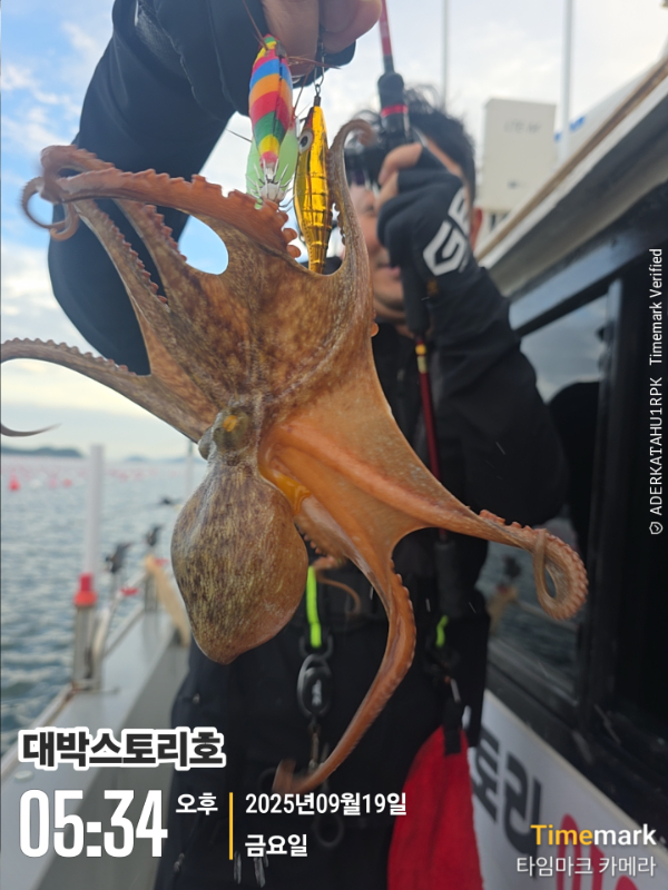 2025-09-19 05.34.18__(대박스토리호).jpg