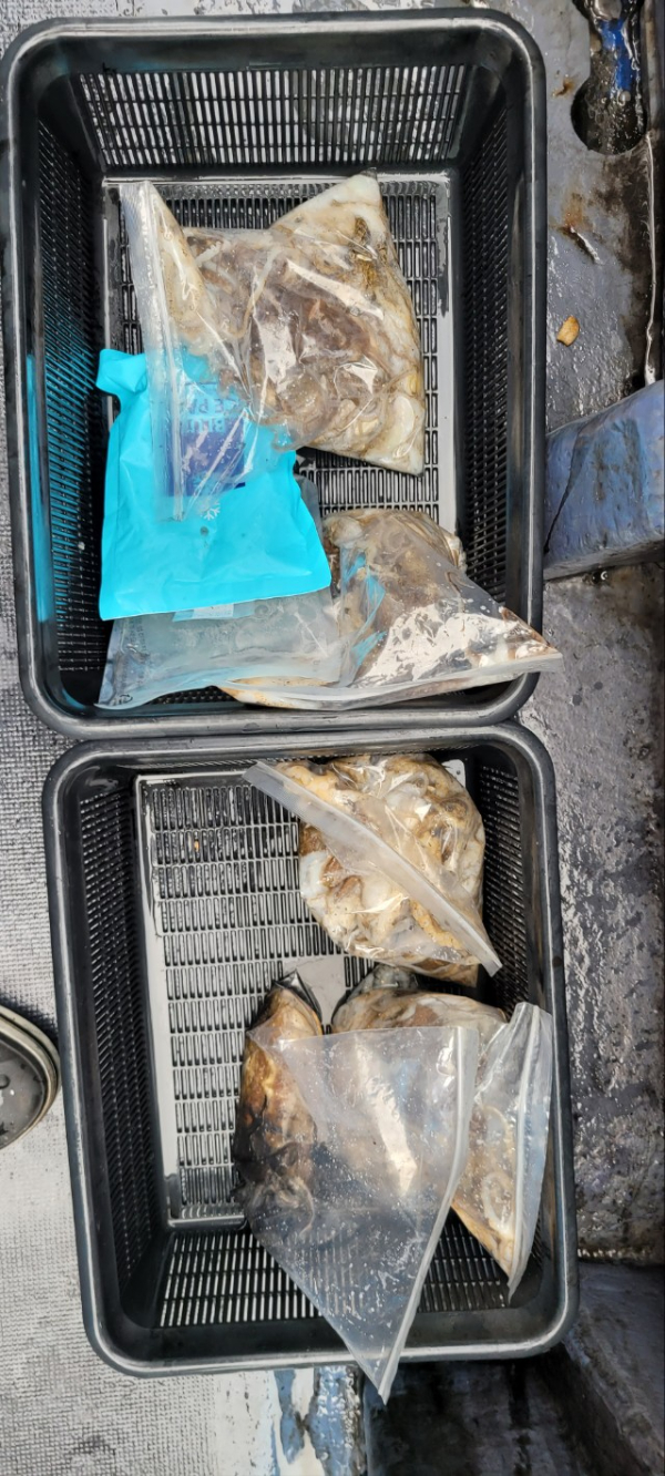 예지퀸호 농어외수질&어초낚시 경기인천권_사진_20251013_10.jpg