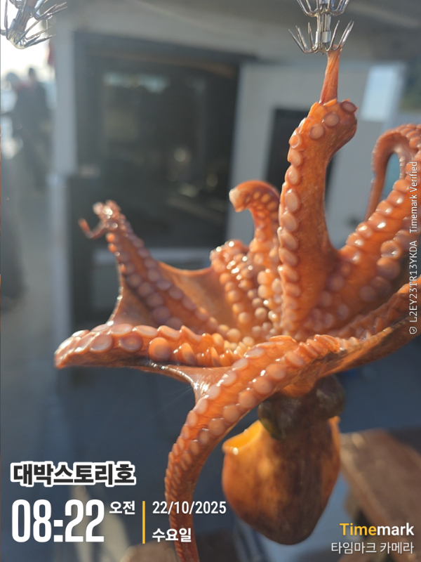 2025-10-22 08.22.55__(대박스토리호).jpg