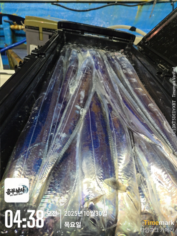 2025-10-30 04.38.03_.jpg