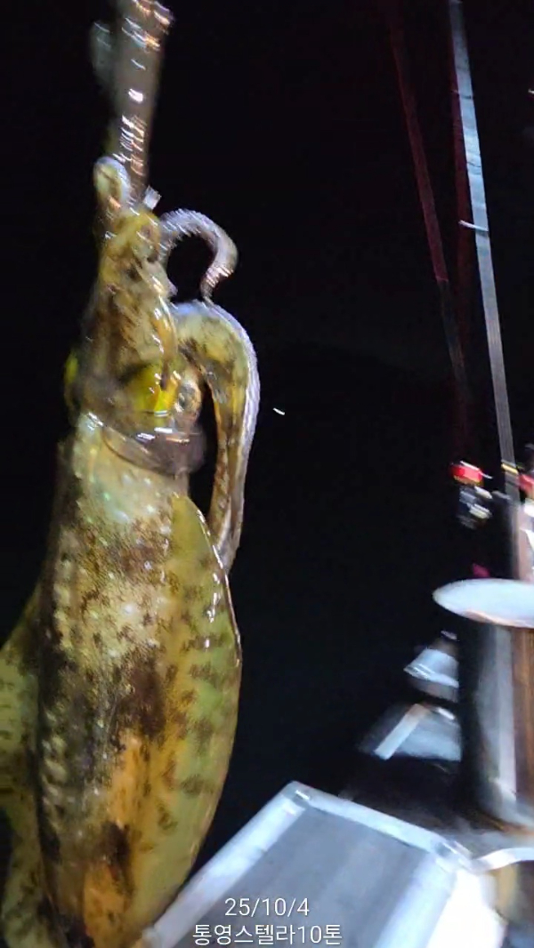 TimeVideo_20251004_200853.jpg
