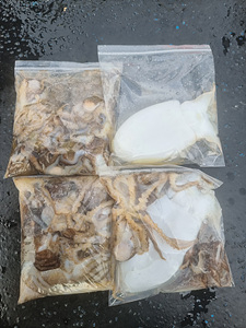 인천쭈꾸미낚시 (13).jpg