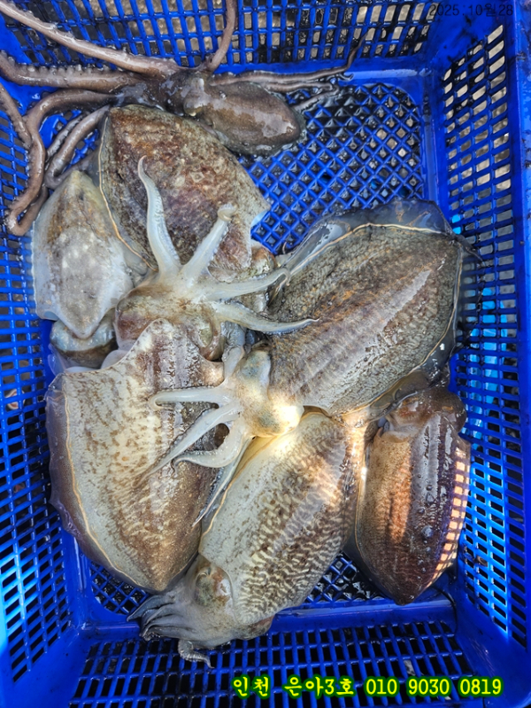 10월28 3호 (4).jpg