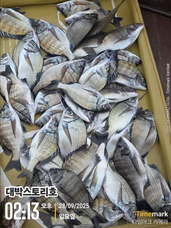 2025-09-28 02.13.00__(대박스토리호).jpg